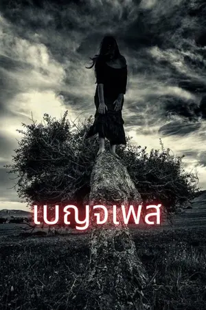 ปกนิยาย