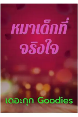 ปกนิยาย