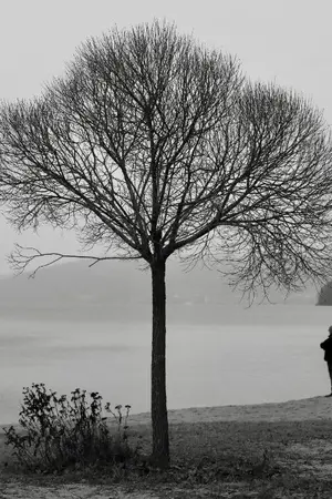 ปกนิยาย ความฝันที่จางหายไปตามสายลม