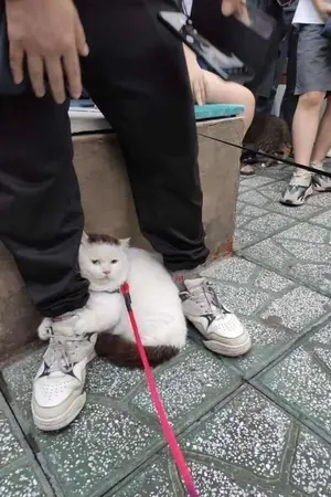 ปกนิยาย รักอยู่ไหน?