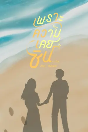 ปกนิยาย เพราะความเคยชิน[มี E-Book]