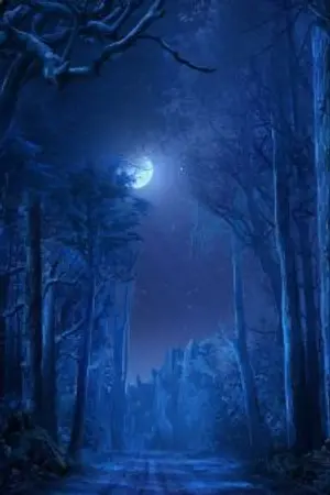 ปกนิยาย ก้าวผ่านราตรี(A Long Night)