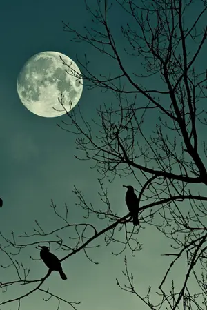 ปกนิยาย กรงรัก จบ