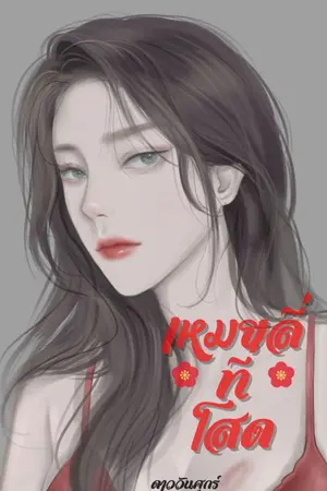 ปกนิยาย เหมยลี่ที่โสด