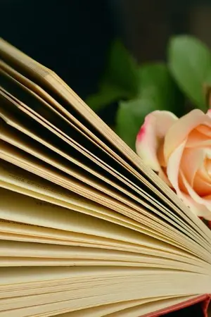 ปกนิยาย รสสวาท..สามีเถื่อน