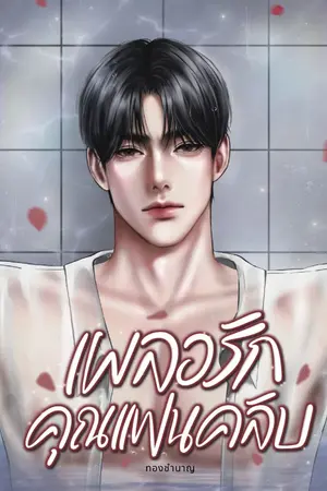 ปกนิยาย เผลอรัก คุณแฟนคลับ