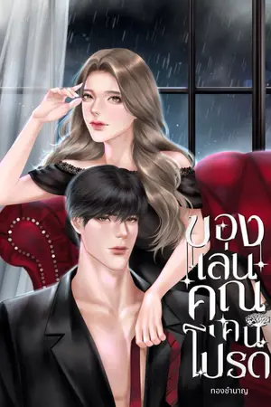ปกนิยาย ของเล่น คุณคนโปรด