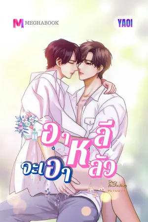 ปกนิยาย อาหลีจะเอาหลัว