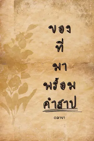 ปกนิยาย