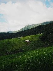 ปกนิยาย ปภังกรซ่อนรัก