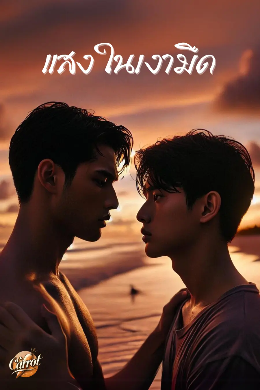 ปกนิยาย