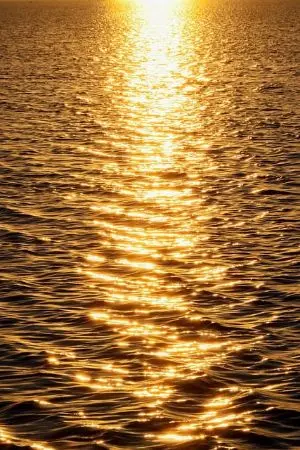 ปกนิยาย เมื่อมีลูกเป็นเด็กพิเศษ