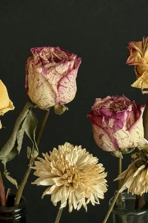 ปกนิยาย Can't be lover: วิวาห์ไร้รัก