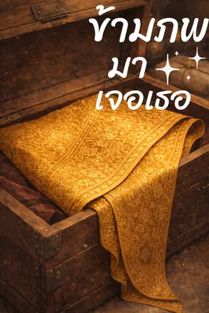 ปกนิยาย ข้ามภพมาเจอเธอ