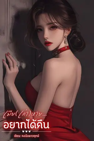 ปกนิยาย เมีย(เก่า)หาย...อยากได้คืน