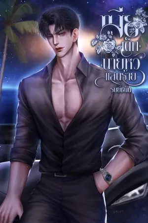 ปกนิยาย เมียเด็กนายหัวแสนร้าย