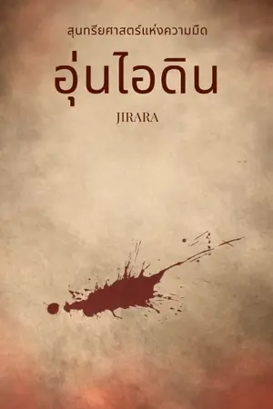 ปกนิยาย สุนทรียศาสตร์แห่งความมืด: อุ่นไอดิน