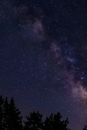 ปกนิยาย once in a dream