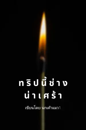 ปกนิยาย