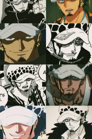 ปกนิยาย Trafalgar D. Water Law x Oc ศัลยแพทย์แห่งความตายกับนักดาบจอมวุ่น