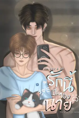 ปกนิยาย I'm not a cat รักนี้เป็นของนาย(Hibird) [มี e-book]