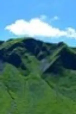 ปกนิยาย หลงทางป่าดงดิบ