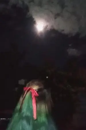 ปกนิยาย พอแล้วล้ะ