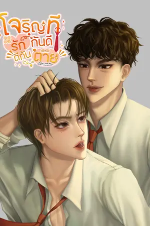 ปกนิยาย โจริญที รักกันดีตีกันตาย