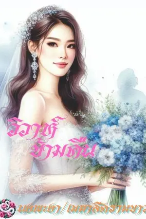 ปกนิยาย วิวาห์ข้ามคืน