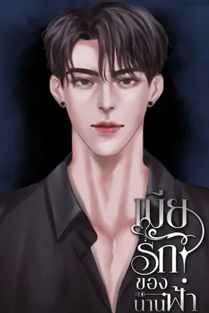 ปกนิยาย เมียรักของน่านฟ้า