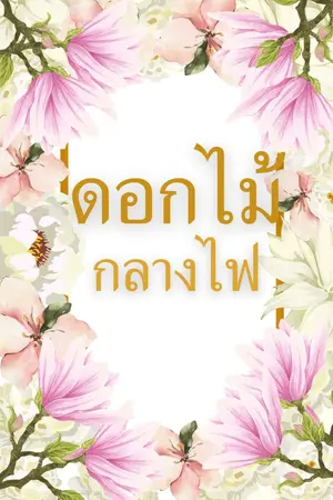 ปกนิยาย