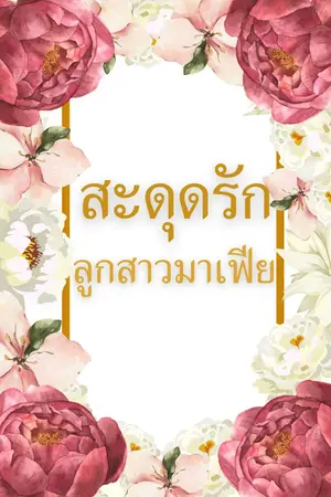 ปกนิยาย