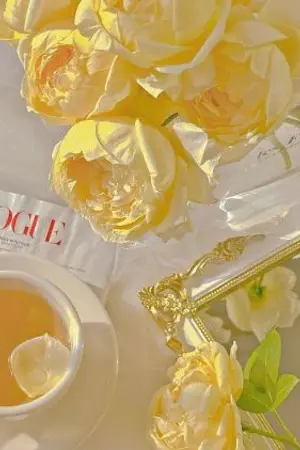 ปกนิยาย Fic Fushigiboshi no Futagohime : You are my sunshine