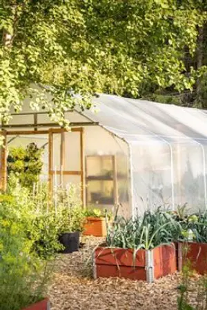 ปกนิยาย สกิลปลูกผักของผม ทำไมฮันเตอร์ระดับ S ถึงมาต่อแถวรอ?