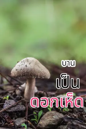 ปกนิยาย บานเป็นดอกเห็ด (18+)