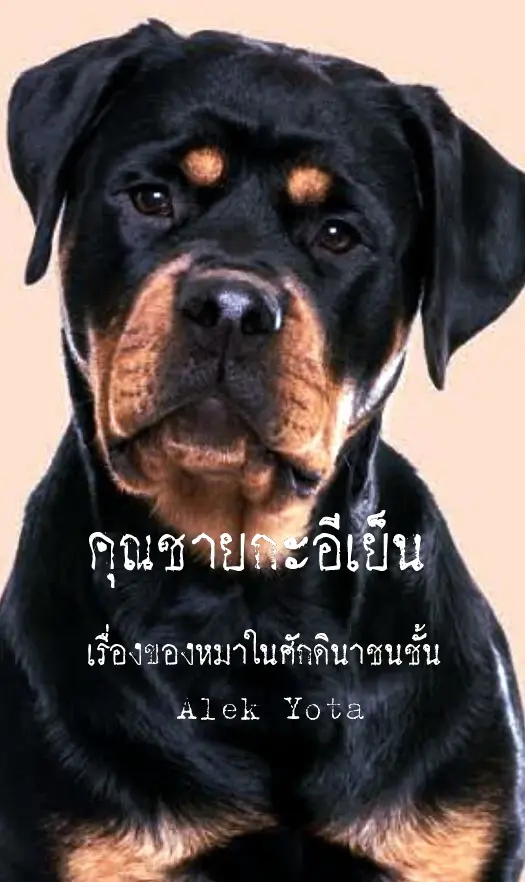 ปกนิยาย คุณชายกะอีเย็น