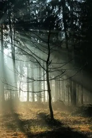 ปกนิยาย Area 0