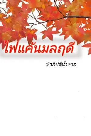 ปกนิยาย ไฟแค้นมลฤดี