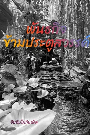 ปกนิยาย พันธกิจข้ามประตูสวรรค์