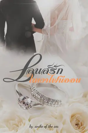 ปกนิยาย เลนส์รักในเงาไฟนีออน