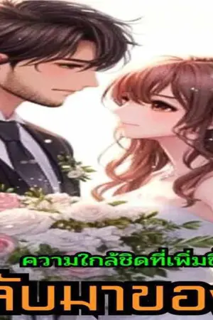 ปกนิยาย การกลับมาของแก้ม