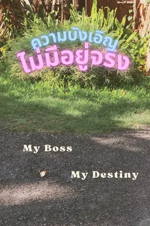 ปกนิยาย ความบังเอิญ ไม่มีอยู่จริง (My Boss, My Destiny)