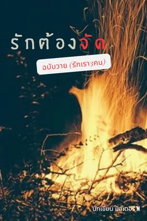 ปกนิยาย รักต้องจัด (3P)