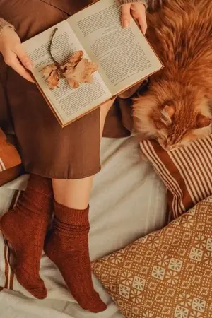 ปกนิยาย Fic Harry Potter ; Dawn of the Witch