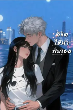 ปกนิยาย ลิขิตให้มาพบเธอ