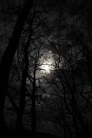 ปกนิยาย อเวจีเรืองรอง