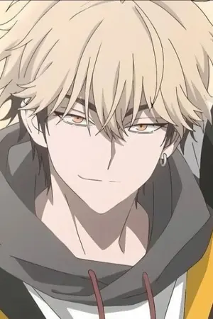 ปกนิยาย Akira x Anime