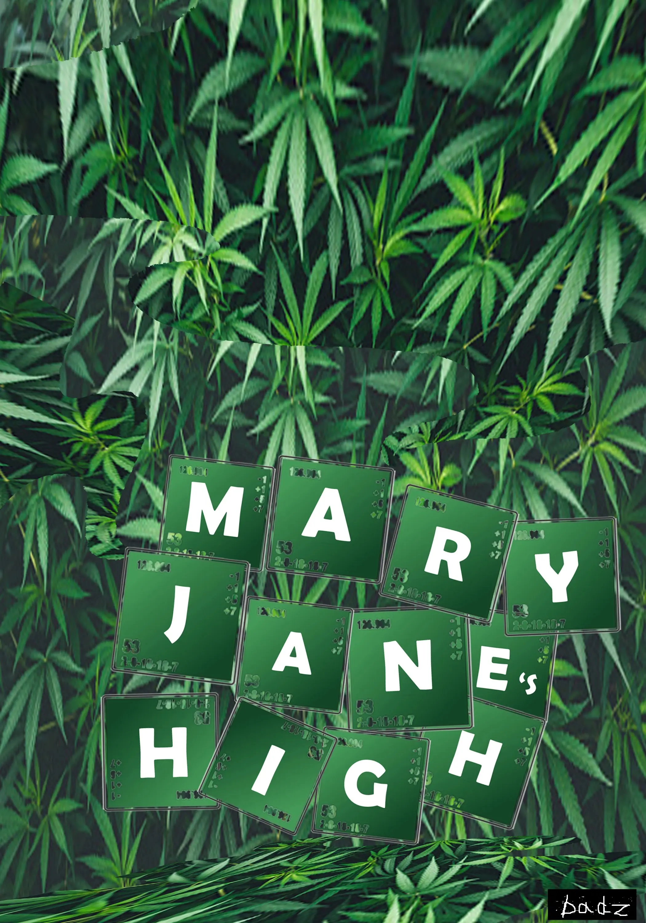 ปกนิยาย mary jane's high 1