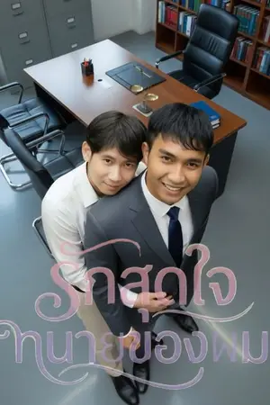 ปกนิยาย รักสุดใจ ทนายของฉัน