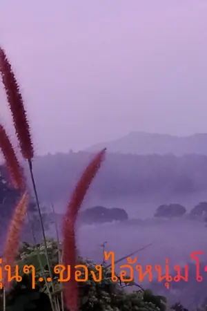 ปกนิยาย รักวุ่นๆ ของไอ้หนุ่มโรงสี(อ่านฟรีจนจบ)